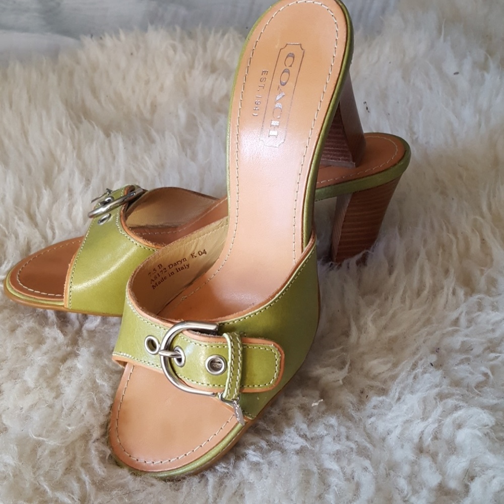Coach Daryn slide heel sandals with buckle